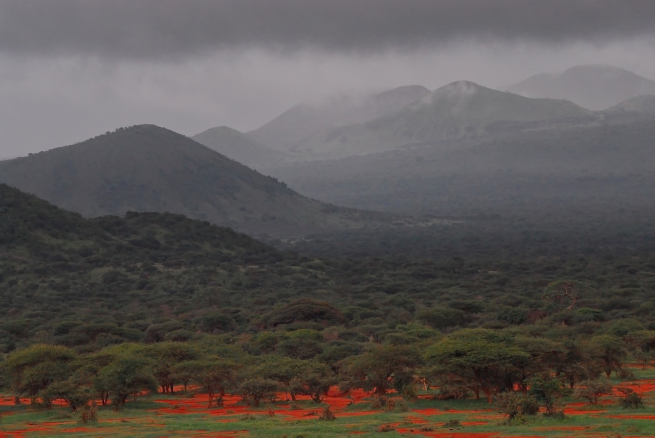 3 Days safari Tsavo East