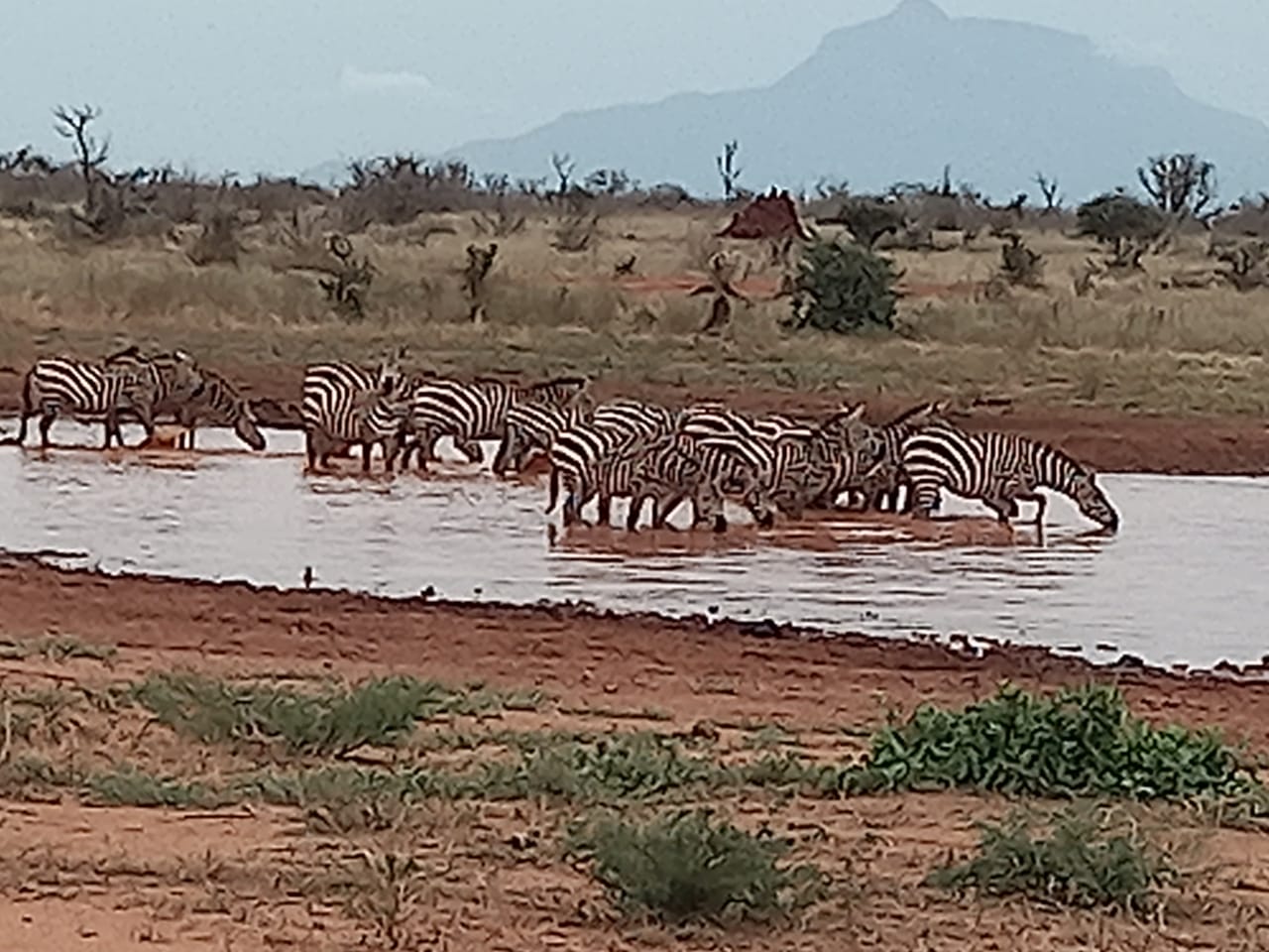 whatsapp image 2025 01 16 at 6.55.01 am (1)